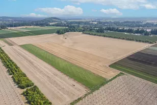 21988 Case (21938-22068) Rd, Aurora, OR 97002 - Photo 9