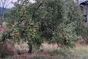 5720 NE Duniway Rd, Dayton, OR 97114 - Photo 31