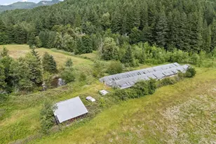 83015 Peninsula Rd, Fall Creek, OR 97438 - Photo 33