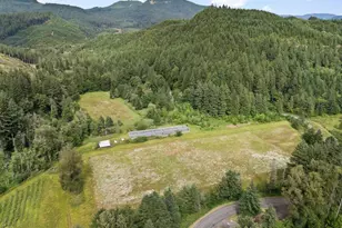 83015 Peninsula Rd, Fall Creek, OR 97438 - Photo 31