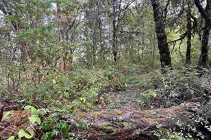 31365 Berlin Rd Rd, Lebanon, OR 97355 - Photo 7