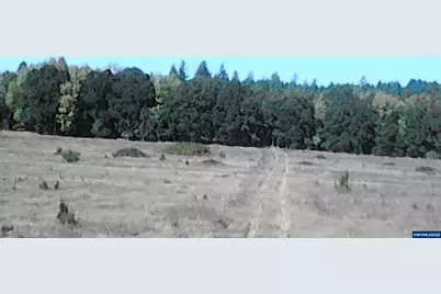 31365 Berlin Rd Rd, Lebanon, OR 97355 - Photo 29