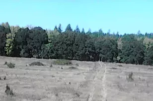 31365 Berlin Rd Rd, Lebanon, OR 97355 - Photo 29