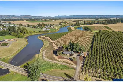 4667 NE St Paul Hwy, Saint Paul, OR 97137 - Photo 43