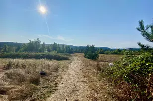 79128 Territorial Hwy, Lorane, OR 97451 - Photo 13