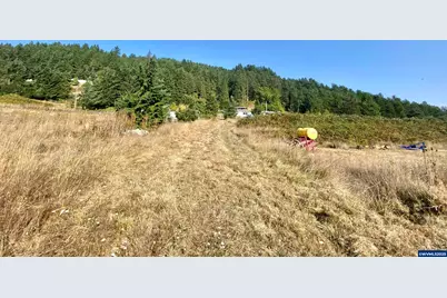 79128 Territorial Hwy, Lorane, OR 97451 - Photo 17