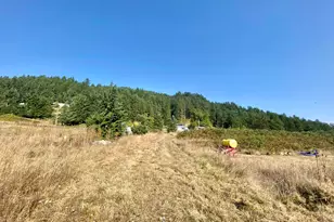 79128 Territorial Hwy, Lorane, OR 97451 - Photo 17