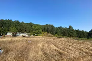 79128 Territorial Hwy, Lorane, OR 97451 - Photo 21