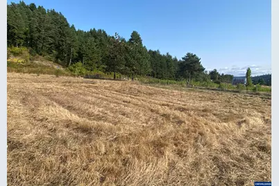 79128 Territorial Hwy, Lorane, OR 97451 - Photo 23