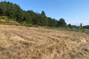 79128 Territorial Hwy, Lorane, OR 97451 - Photo 23