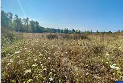 79128 Territorial Hwy, Lorane, OR 97451 - Photo 15