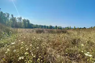 79128 Territorial Hwy, Lorane, OR 97451 - Photo 15