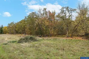 33781 Mt Tom Dr, Harrisburg, OR 97446 - Photo 45