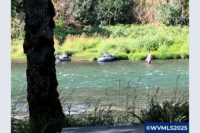 45849 River Loop Rd, Lyons, OR 97358 - Photo 5