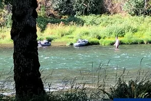 45849 River Loop Rd, Lyons, OR 97358 - Photo 5