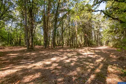 Pp2020-49 Lot#2 N. Of Osprey Ct. Rd, Albany, OR 97321 - Photo 9