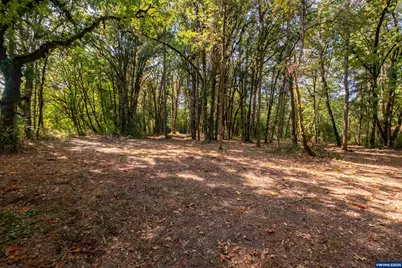 Pp2020-49 Lot#2 N. Of Osprey Ct. Rd, Albany, OR 97321 - Photo 15