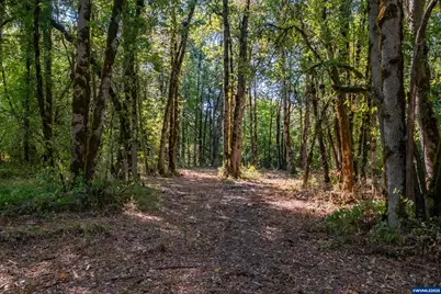 Pp2020-49 Lot#2 N. Of Osprey Ct. Rd, Albany, OR 97321 - Photo 11