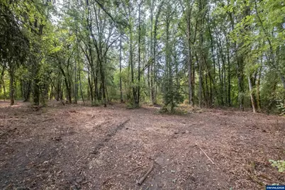 Pp2020-49 Lot#2 N. Of Osprey Ct. Rd, Albany, OR 97321 - Photo 17