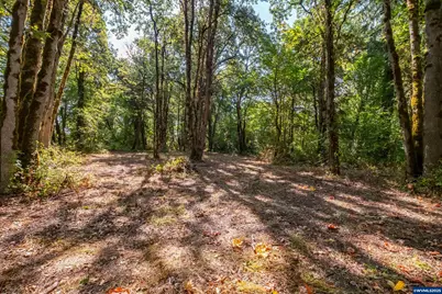 Pp2020-49 Lot#2 N. Of Osprey Ct. Rd, Albany, OR 97321 - Photo 21