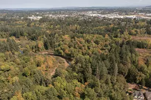 Pp2020-49 Lot#2 N Of Osprey Ct Rd, Albany, OR 97321 - Photo 1