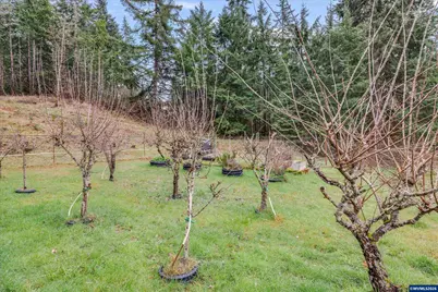 3805 Briar Knob Lp NE, Scotts Mills, OR 97375 - Photo 27