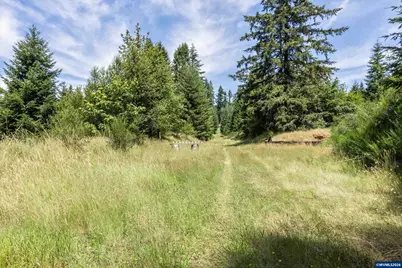 3805 Briar Knob Lp NE, Scotts Mills, OR 97375 - Photo 43