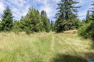 3805 Briar Knob Lp NE, Scotts Mills, OR 97375 - Photo 43