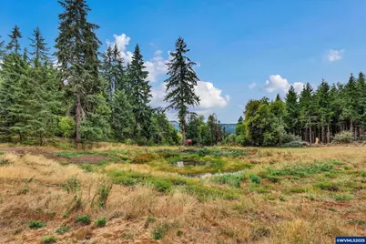 0 Address Undisclosed NE, Scotts Mills, OR 97375 - Photo 35