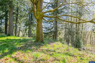 32797 Dan Cupp Rd, Saint Helens, OR 97051 - Photo 43