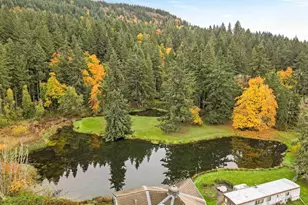 4300 Briar Knob Lp NE, Scotts Mills, OR 97375 - Photo 45