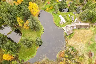 4300 Briar Knob Lp NE, Scotts Mills, OR 97375 - Photo 49