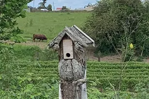 5848 NE Tumbleweed Circle, Brooks, OR 97305 - Photo 15