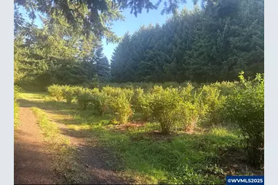 15550 SE Tickle Creek Rd, Boring, OR 97009 - Photo 43