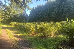 15550 SE Tickle Creek Rd, Boring, OR 97009 - Photo 43