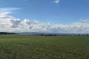 39986 Gisler Rd, Scio, OR 97374 - Photo 39