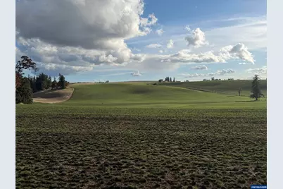 39986 Gisler Rd, Scio, OR 97374 - Photo 5