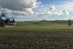 39986 Gisler Rd, Scio, OR 97374 - Photo 5