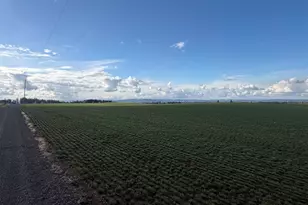 39986 Gisler Rd, Scio, OR 97374 - Photo 9