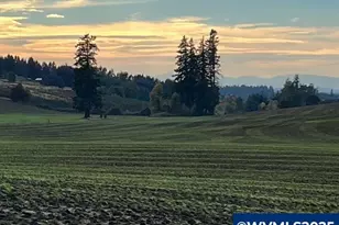 39986 Gisler Rd, Scio, OR 97374 - Photo 41