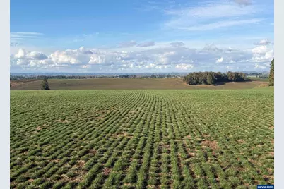 39986 Gisler Rd, Scio, OR 97374 - Photo 7