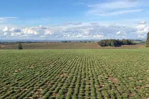 39986 Gisler Rd, Scio, OR 97374 - Photo 7