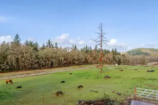 40189 Mt Hope Dr, Lebanon, OR 97355 - Photo 35