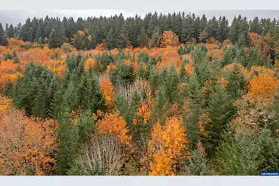 7465 Kings Valley Hwy, Monmouth, OR 97361 - Photo 43