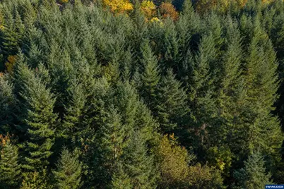 4204 Riverdale Rd S, Salem, OR 97302 - Photo 23