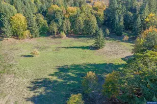 4204 Riverdale Rd S, Salem, OR 97302 - Photo 9