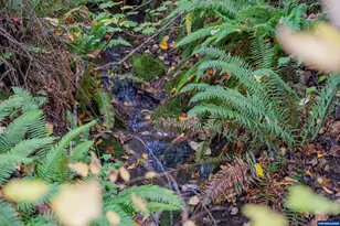 4204 Riverdale Rd S, Salem, OR 97302 - Photo 29