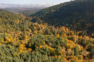 17925 Brown Rd, Dallas, OR 97338 - Photo 3