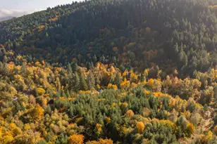 17925 Brown Rd, Dallas, OR 97338 - Photo 5