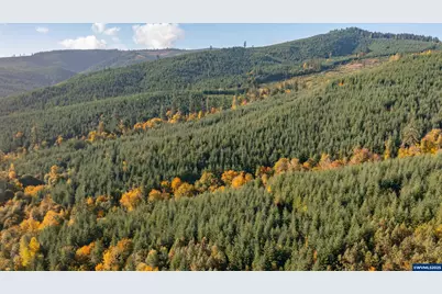 17925 Brown Rd, Dallas, OR 97338 - Photo 13